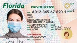 Florida Driver's License