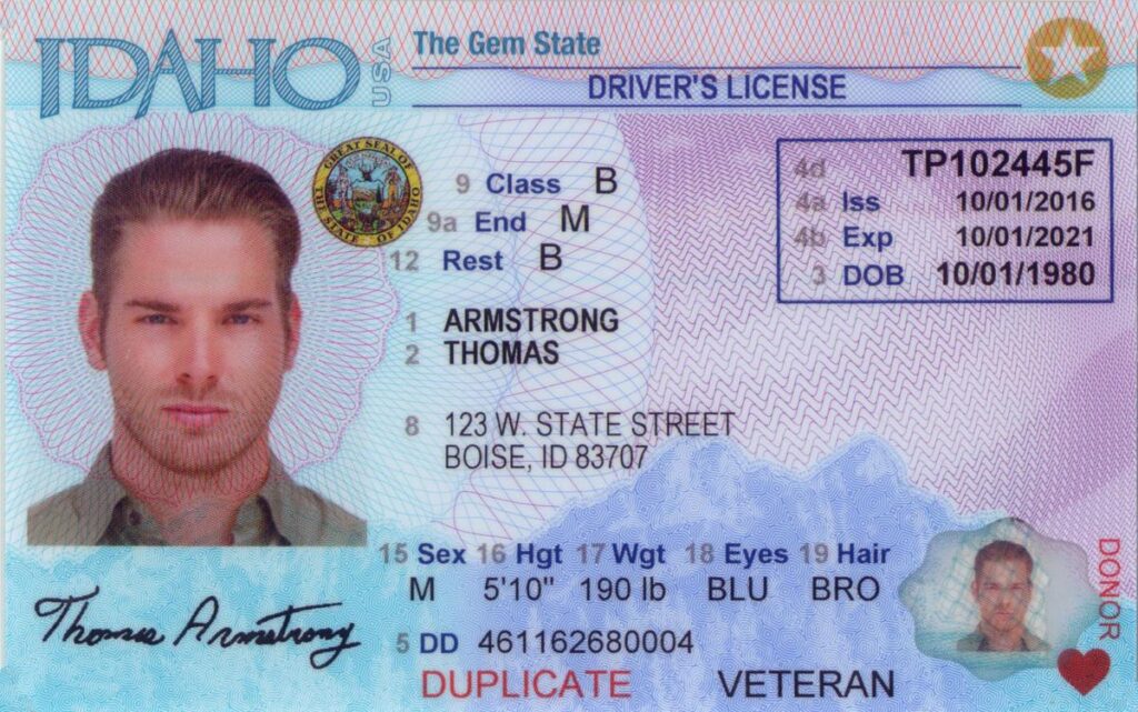 Idaho Driver's License