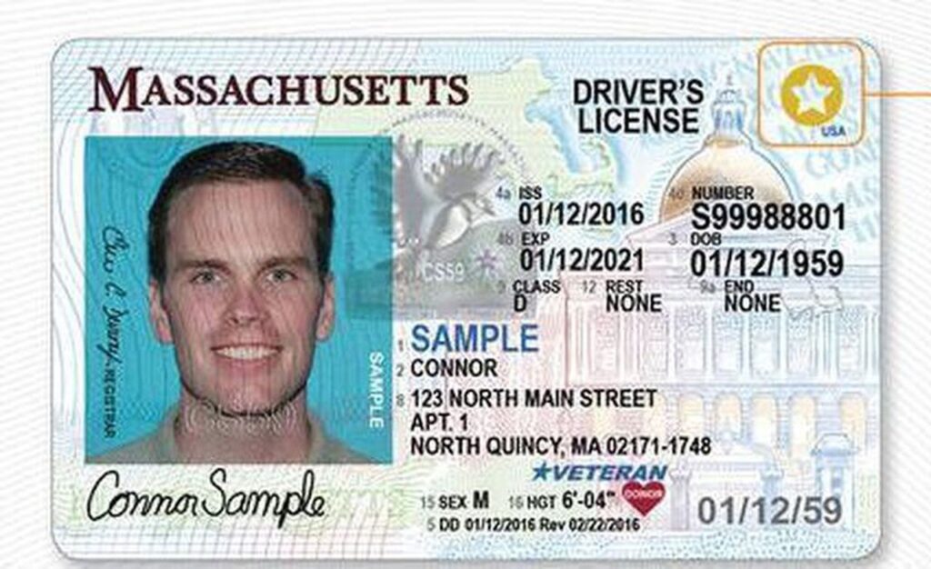 Massachusetts Driver's License