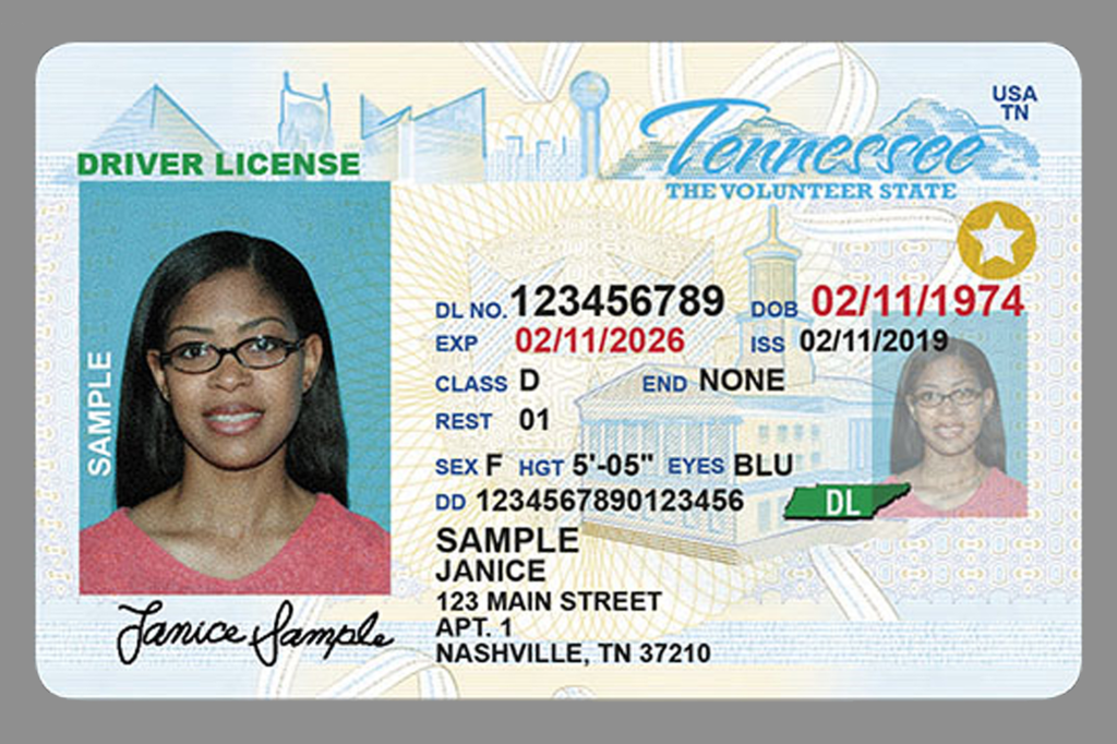 Tennessee Driver's License