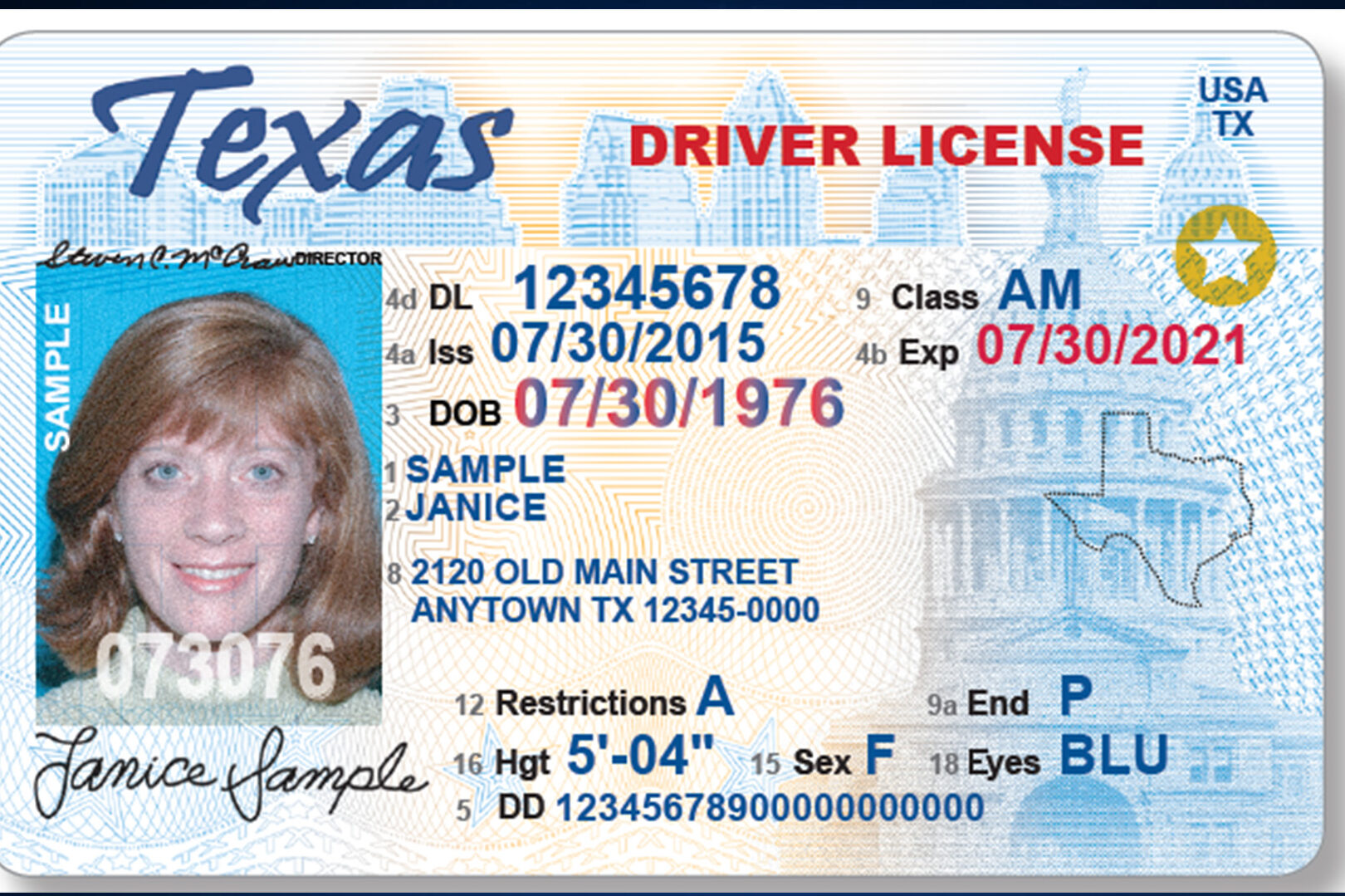 Texas Driver's License