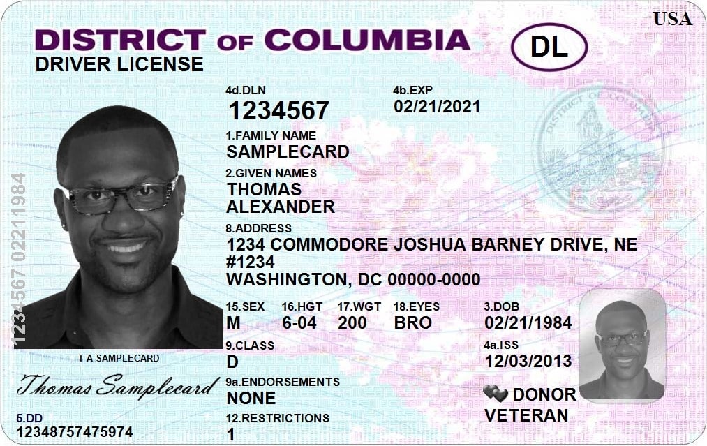 state drivers licenses
