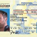 Fake Driver License