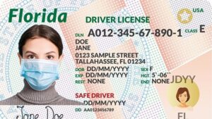 Florida Driver License