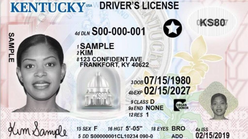 Kentucky state drivers licenses