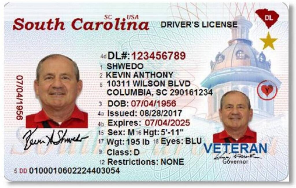state drivers licenses