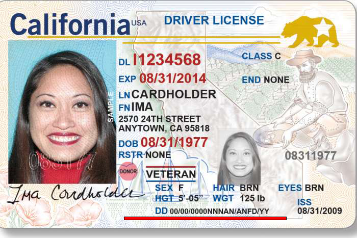 California Driver's License Template